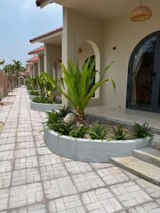 a row of plants in front of a building at escVACA - Your Stay in Mui Ne in Mui Ne