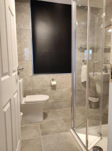 uma casa de banho com WC e uma televisão na parede em Kingdom Lodge em Killarney