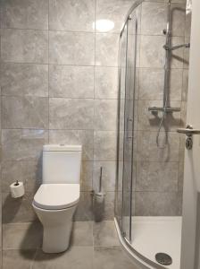 uma casa de banho com um WC e um chuveiro em Kingdom Lodge em Killarney