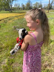 a little girl holding a goat in a field at Bear Creek Falls Lodge on 67 acres Creek & Waterfalls in Millville