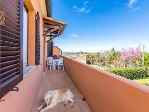 um cão deitado na varanda de uma casa em Apartment Gino by Interhome em Bibbona