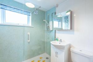 a bathroom with a shower and a toilet and a sink at Foxbrae Cottage in Rockcliffe +23 photos