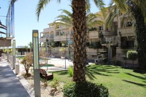 a palm tree and a bench in front of a building at 2 Bedroom Apartment Palma Verde in Cuevas del Almanzora