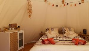 CambounèsLe tipi à Marie, déconnectez- vous !!!的一间卧室，床上有枕头