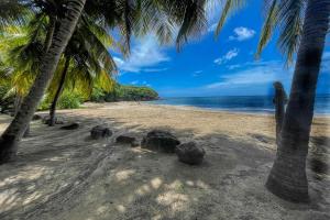 piaszczystą plażę z palmami i oceanem w obiekcie Les Hauts de Bornave w mieście Deshaies