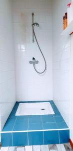 a bathroom with a shower and a blue floor at Chambres Du Petit Bonheur in Biscarrosse +71 photos