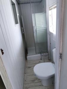 a white bathroom with a toilet and a shower at NOCLEG WYSPA WOLIN in Warnowo