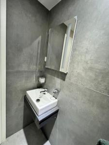 a bathroom with a white sink and a mirror at Suite SZ-Lichtenberg in Salzgitter