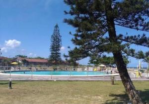 a swimming pool with a pine tree in a park at Ervino Praia Flat in São Francisco do Sul