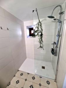 a bathroom with a shower with a glass door at Acogedora y romántica casita en la sierra in Garganta de los Montes