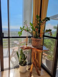 stół z roślinami na nim przed oknem w obiekcie Dicimulacion Staycation House w mieście Angono