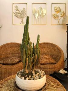 a cactus sitting on top of a table at Dicimulacion Staycation House in Angono