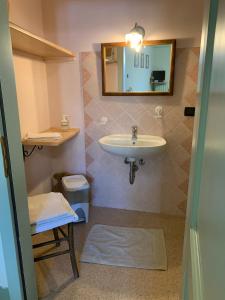 La salle de bains est pourvue d'un lavabo et d'un miroir. dans l'établissement Agriturismo Maso Giomo, à Brentonico
