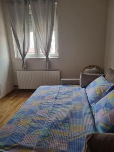 een slaapkamer met een bed en 2 ramen bij Apartman Urošević in Osečina