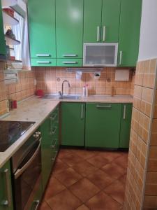 een keuken met groene kasten en een wastafel bij Apartman Urošević in Osečina