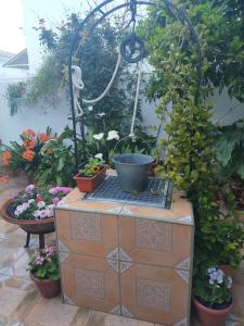a garden with potted plants on a table at Alojamiento Rural Los Barrosos in Coripe