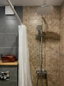 a shower with a shower curtain in a bathroom at Hygge Apartment in Mizhhirya