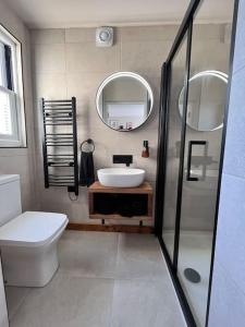 a bathroom with a sink and a toilet and a mirror at Norton house in Brighton & Hove