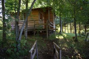 una cabaña de madera en medio del bosque en Proyecto COYAM, cabañas lofts, tinas privadas, sendero por el bosque en Villarrica