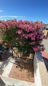 Φωτογραφία από το άλμπουμ του casa limon σε Mazarron +1 φωτογραφίες