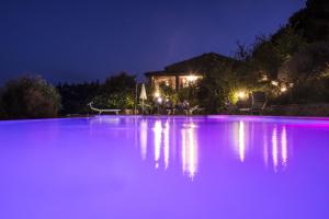 Agriturismo Il Serraglio内部或周边的泳池