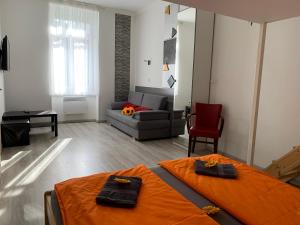 TV a/nebo společenská místnost v ubytování Sunflowers Apartman