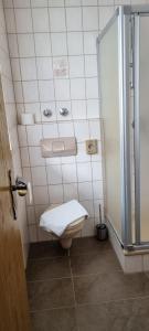 een badkamer met een toilet en een douche bij JÄGERWINKL 2 in Rettenberg