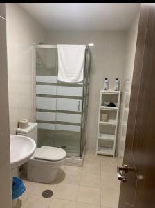 La salle de bains est pourvue d'une douche, de toilettes et d'un lavabo. dans l'établissement TORRES DE MONTENUÑO, à Oviedo