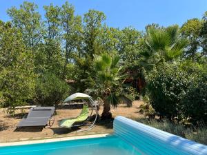 Les AssionsにあるLes Mille Mimosasのヤシの木の横にあるウォータースライダー付きプール