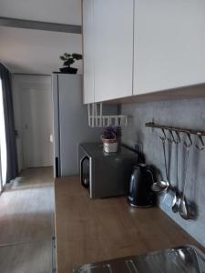 Η κουζίνα ή μικρή κουζίνα στο Premium Mobile Home LANA - Oaza Mira Camping