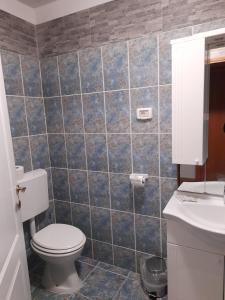 ein Bad mit einem WC und einem Waschbecken in der Unterkunft Bed and Breakfast Lovac in Kaldanija