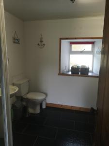 a bathroom with a toilet and a sink and a window at Kirtomy Cottage, Kirtomy, near Farr Beach, Bettyhill and Thurso in Farr