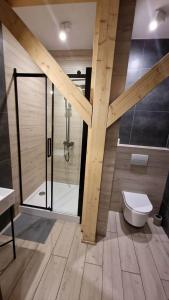 a bathroom with a shower and a toilet in it at Hosteria na Mazurach in Dąbrówno
