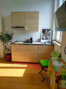 A kitchen or kitchenette at MonoPat