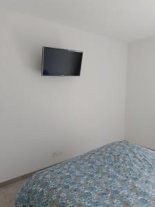 1 dormitorio con 1 cama y TV en la pared en T2 Embrun vu les Orres, en Embrun