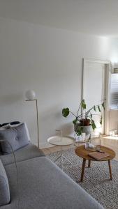 コペンハーゲンにあるCozy newly renovated apartment in Copenhagenのリビングルーム(ソファ、植物テーブル付)