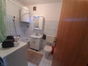 La petite salle de bains est pourvue de toilettes et d'un lavabo. dans l'établissement Apartman Posavac, à Crikvenica