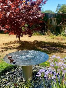 a bird sitting on a bird bath in a garden at The Oaks in Swaffham