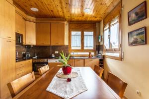 Kuchyňa alebo kuchynka v ubytovaní Apartamento en Vielha