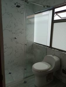 Hotel Palermo Sincelejo في سينسليخو: حمام مع مرحاض ودش زجاجي