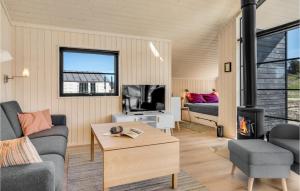 イェリングにあるPet Friendly Home In Hjrring With Wifiのリビングルーム(ソファ、テレビ、暖炉付)