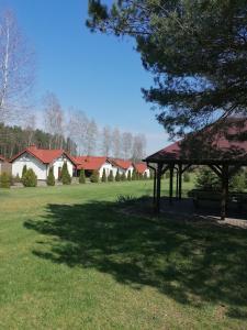 un parque con un banco y un árbol y casas en Gospodarstwo Agroturystyczne Zacisze, en Ruś