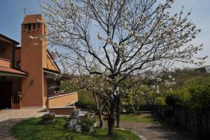 a tree with white flowers in front of a building at Bonavia B&B in Sistiana