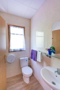 a bathroom with a toilet and a sink and a window at Camping Anzánigo in Anzánigo