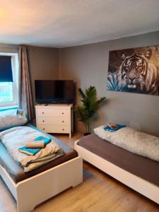 a bedroom with two beds and a picture of a tiger at Flensburg Mitte 38 in Flensburg