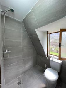 a bathroom with a toilet and a shower with a window at Guest House Rrashkadoli in Theth +43 photos