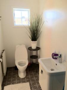 a bathroom with a toilet and a sink with a plant at Farbror Alfreds Boende Sjöutsikt in Köpingsvik