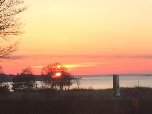 a sunset over the ocean with a tree in the foreground at Farbror Alfreds Sjöutsikt 1 in Köpingsvik +1 photo