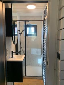 a bathroom with a sink and a shower at Gîtes Douillets : Chalet sur Pilotis in Houyet