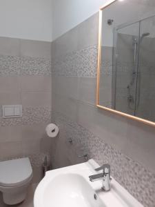 a bathroom with a toilet and a sink and a mirror at La Casa di Romeo in Ateleta